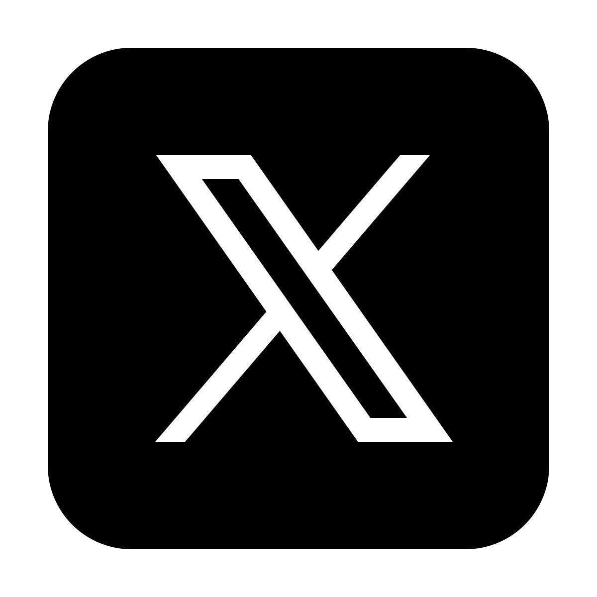 公式X